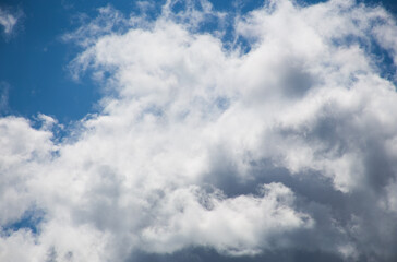 Fluffy clouds cover the summer blue sky
