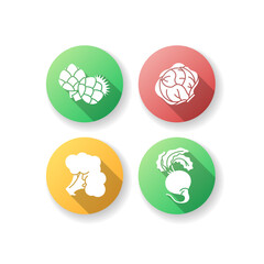 Dieting flat design long shadow glyph icons set. Greenery plants. Fresh garden vegetables. Lettuce head. Raw cabbage. Ripe radish ingredient for salad. Silhouette RGB color illustration