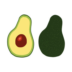 Tropical green fruit avocado icon