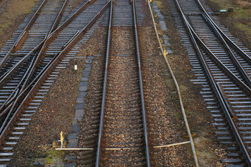 Obraz premium Crossing the railroad tracks