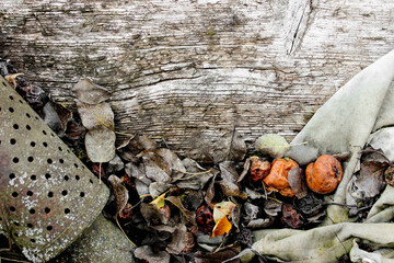  Old board with fallen leaves and fruits