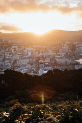 Wellington city center and harbour at sunset