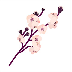 Sakura flowers. Japan cherry blossom. Blooming Sakura Flowers On branch. For floral invitation, greeting card, template design. Vector Illustration isolated on white background.