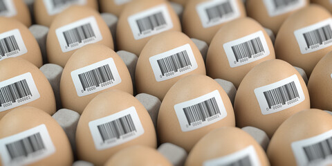 Chicken eggs with barcode stickers. Quality control concept.