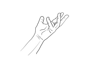 Obraz premium Hand gesture Vector sketch collection. Body language concept. Hands signs - interactive communication set. Hand in different positions. Arm gestures for showing and pointing, holding and representing.