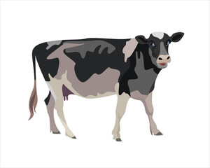 Cow. Black and beige cow. Cute farm animal in cartoon style. Vector illustration isolated on white background.
