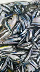 Fototapeta premium Fresh fish made for local food.