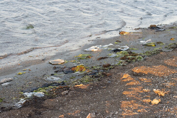 Plastic bottles left on the dirty sand beach with various garbages
