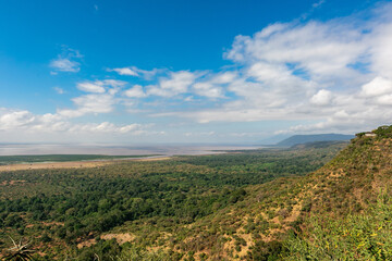 Fototapeta na wymiar 眼下に広がるタンザニアの原風景、広大な森と快晴の青空