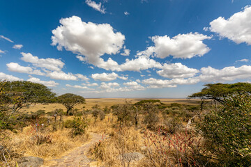 タンザニア・セレンゲティ国立公園入り口の丘の上に広がる風景と、その向こうに見える地平線・青空