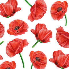 Watercolor pattern with wild red poppies on a white background. Surface design for interior decoration, textile printing, prints, packaging, cover and more.
