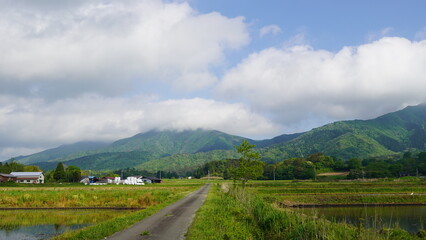 蒜山の山　下蒜山