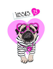 Card of a Valentine's Day. Pug Dog in a striped cardigan, in a fun pink heart glasses. Vector illustration.