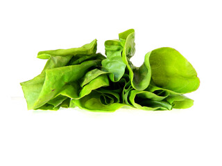 greens in salad isolated on white background