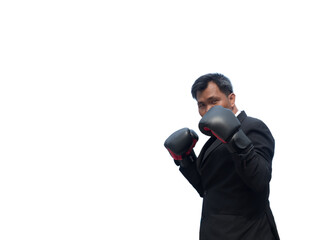 Businessman wearing black boxing gloves ready to fight. Isolated on white background. Business concept.