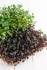 green young sprouts of microgreen radish and red cabbage grown at home on a linen rug, home micro farm