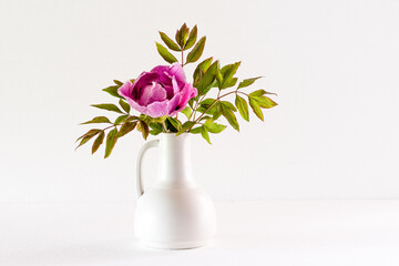 Tree peony (Lan He /Paeonia suffruticosa rockii) in a white vase on white