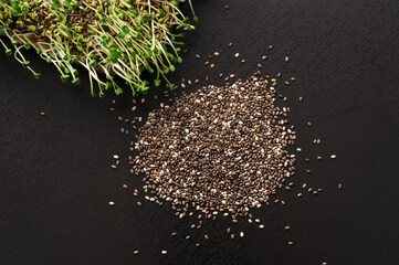 microgreen sprouts of chia black seeds grown on a linen rug at home, gray dark background