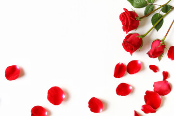 Fototapeta na wymiar Red roses and rose petals at the corner of white background