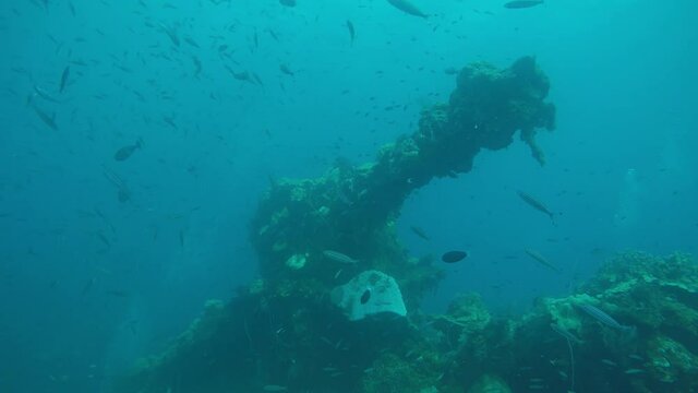 Coral encrusted deck gun on the wreck of a cargo ship sunk at Truk Lagoon during World War II