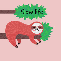slow life,sloth,sloth lying on a tree.