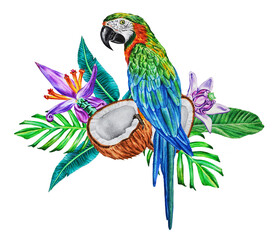 A bright macaw parrot sits on a botanical bouquet of tropical leaves, flowers and halves of coconut. Watercolor illustration. Hand drawn.