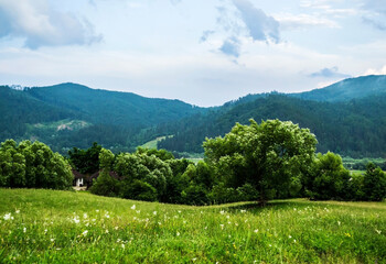 Panoramic view in Gura Humorului, Suceava county, Bucovina, Romania.