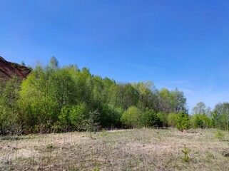 Obraz premium meadow with dry grass near the trees on a slope against the blue sky on a sunny day