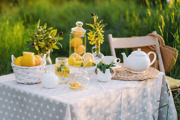 Lemons and yellow macaroons on the table sunset light. Copy space. The concept of spring and summer season. Healthy Food and Drink. Italian or spanish picnic decoration.