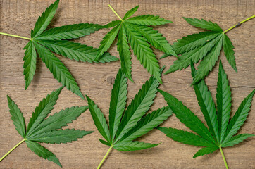 Leaves of marijuana on a background of a wooden texture.
