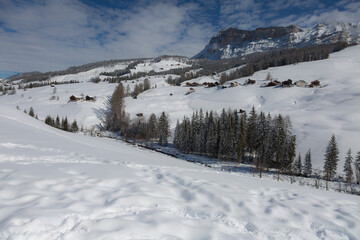 Beautiful Day in the Mountains with Snow-covered Fir Trees and a Snowy Mountain Panorama