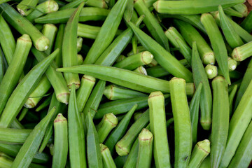 Ladies fingers grown in a farm in India.