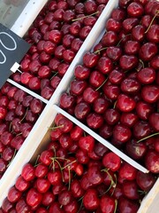 Juicy delicious cherries on the market macro