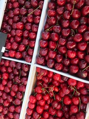 Juicy delicious cherries on the market macro