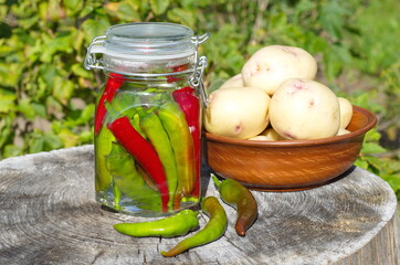 A jar of canned hot peppers and a bowl of new potatoes on an old tree stump in the garden