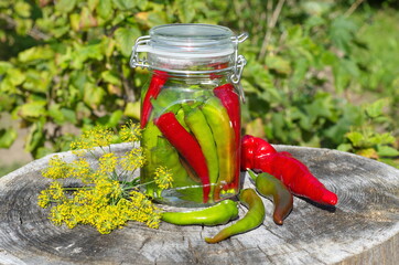 Preserving hot peppers. Glass jar of pepper on an old tree stump in the garden