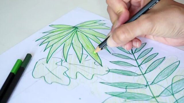 Persona pintando a mano un dibujo