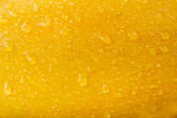 Fresh Yellow mango skin with water drop background, Mango juice and textured concept.