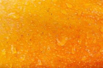Orange skin of Ripe mango fruit skin with water dew, Freshness of juice and Texured background concept.