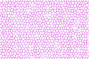 animal skin pattern texture repeating seamless Texture . Fashionable print. Fashion and stylish background