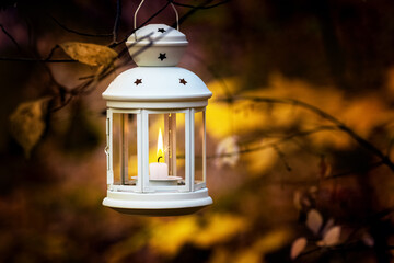 Lantern with a candle on a tree in the autumn garden on a dark background