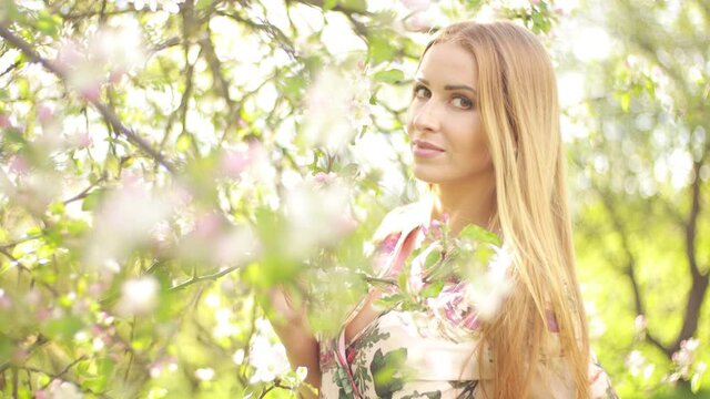 Video clip, blur effect and light fler, a young blonde woman with long hair in a long dress walks in a blossoming apple orchard on a sunny day in spring.
