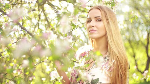 Video clip, blur effect and light fler, a young blonde woman with long hair in a long dress walks in a blossoming apple orchard on a sunny day in spring.
