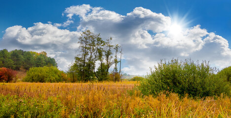 Fototapeta na wymiar Autumn landscape with dry grass in the field, trees and picturesque blue sky with white clouds and sun