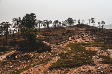 Landscape of a rocky pathway in the mountains covered with trees, autumn color.