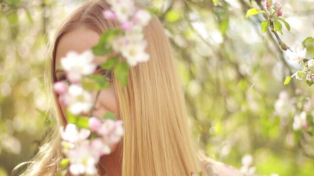 Video clip, blur effect and light fler, a young blonde woman with long hair in a long dress walks in a blossoming apple orchard on a sunny day in spring.