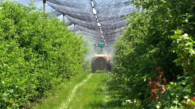 Slow Motion Video of Tractor Spraying Orchard Covered with Hail Protection Nets