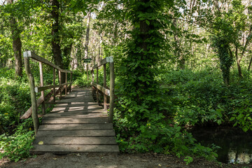 Fototapeta na wymiar a wooden bridge is crossing a river in a forest 