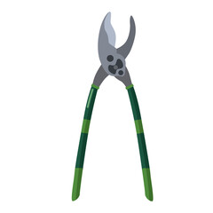 Professional secateur on white background isolated. Green garden tool for trimming and tree care