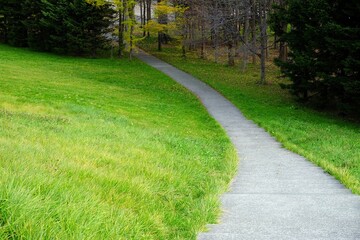 Close up Pathway in the Park.